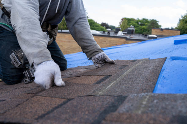 Best Residential Roofing Contractor  in Corry, PA